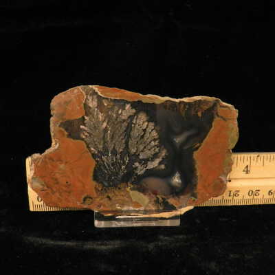 Plume Agate