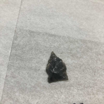 Projectile Point