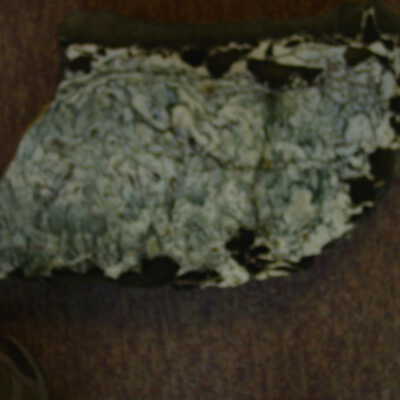 Agate(Medfordite)