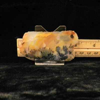 Dendritic Agate
