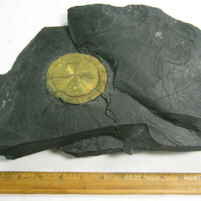 Marcasite