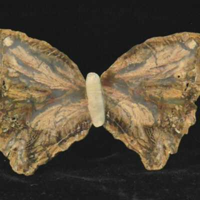 Agate Butterfly
