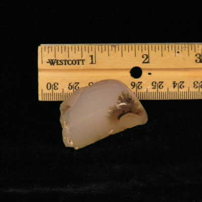 Dendritic Agate