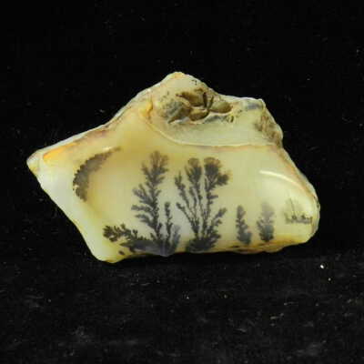 Quartz var. Agate