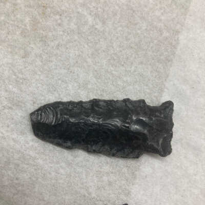 Projectile Point