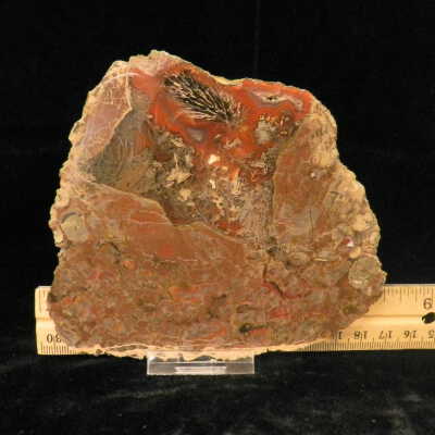 Plume Agate