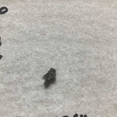 Projectile Point