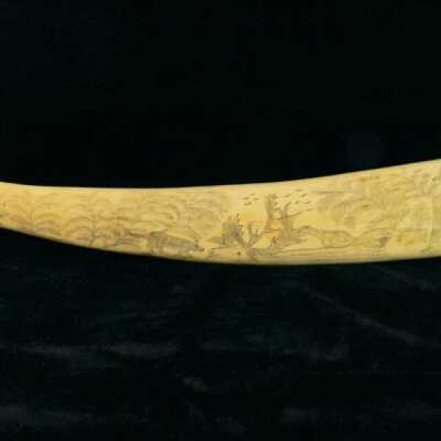 Scrimshaw