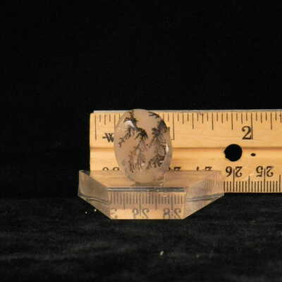 Dendritic Agate