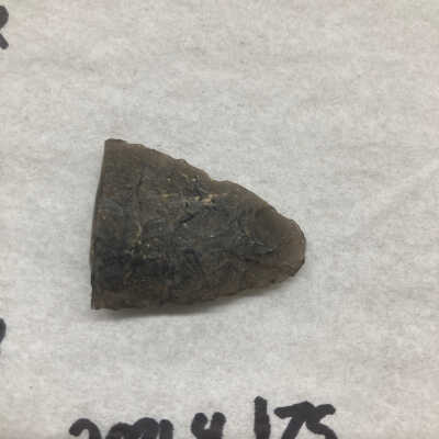 Projectile Point Fragment Distal