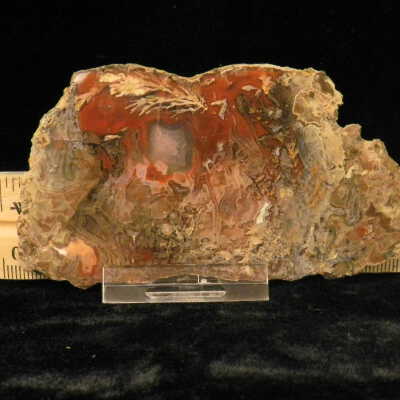 Plume Agate
