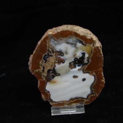 Thunderegg