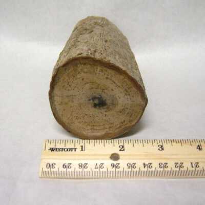 Limb Cast