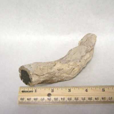 Limb Cast