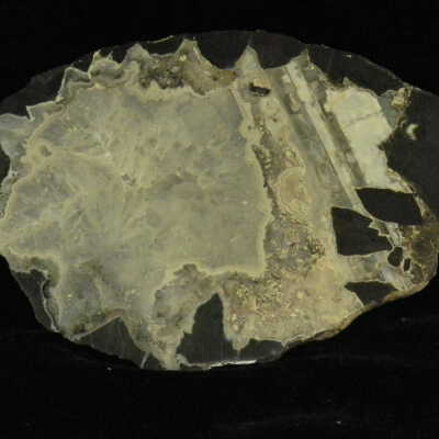 Thunderegg
