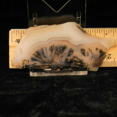 Quartz var. Agate (sagenite)