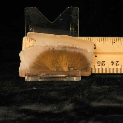Quartz var. Agate (sagenite)