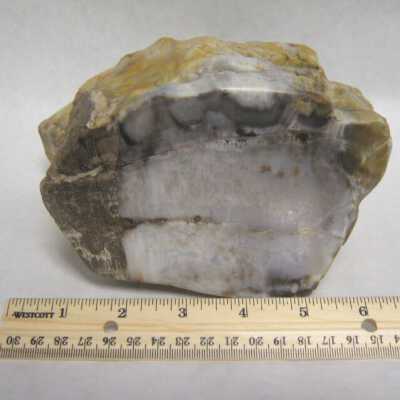 Limb Cast