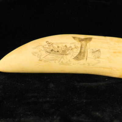 Scrimshaw