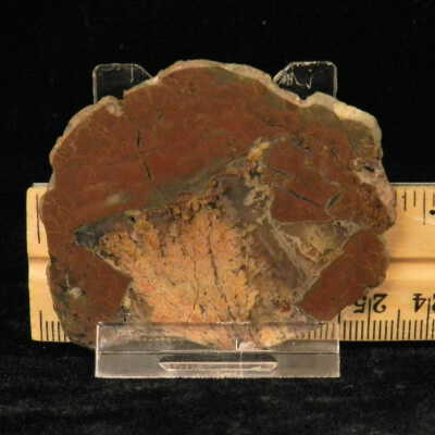 Plume Agate