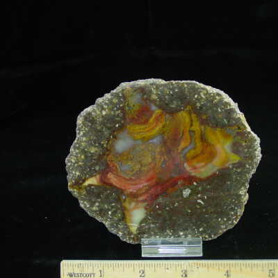 Thunderegg