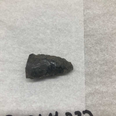 Projectile Point Fragment Distal