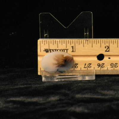 Dendritic Agate