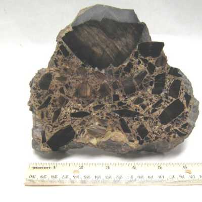 Limb Cast