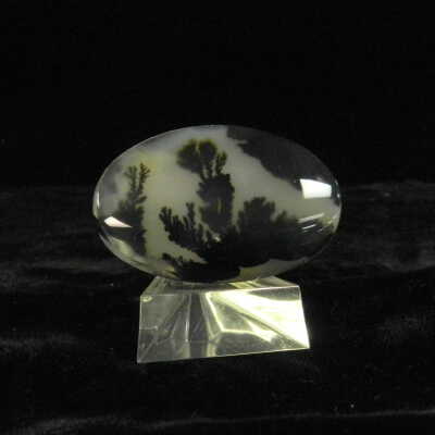 Quartz var. Agate