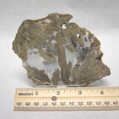 Limb Cast