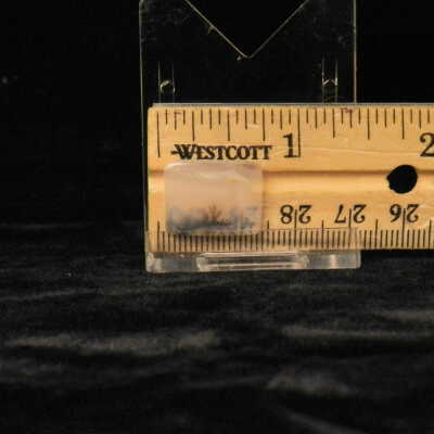 Dendritic Agate