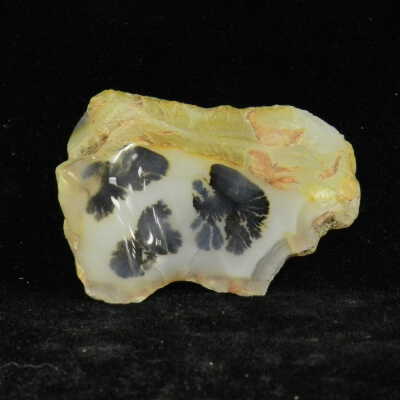 Quartz var. Agate