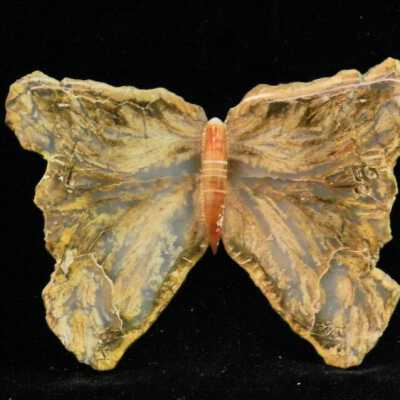 Agate Butterfly