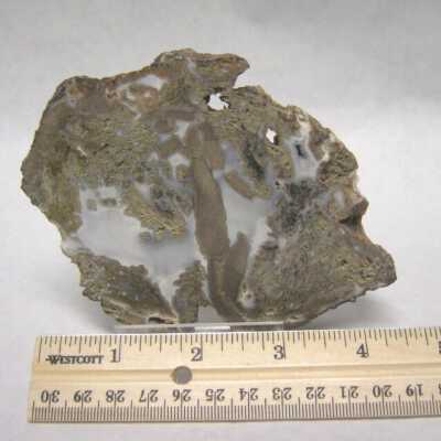 Limb Cast
