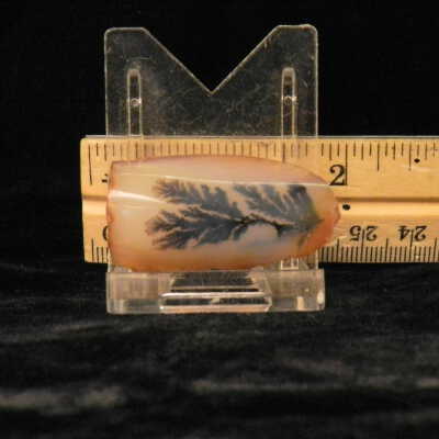 Dendritic Agate