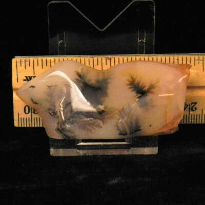 Dendritic Agate