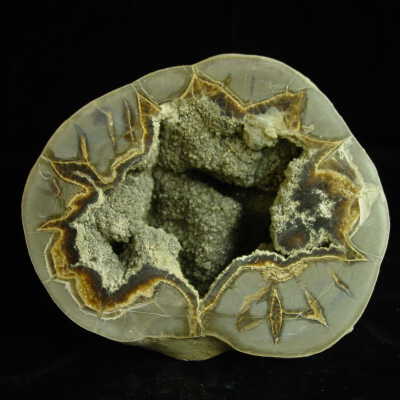 Septarian Nodule