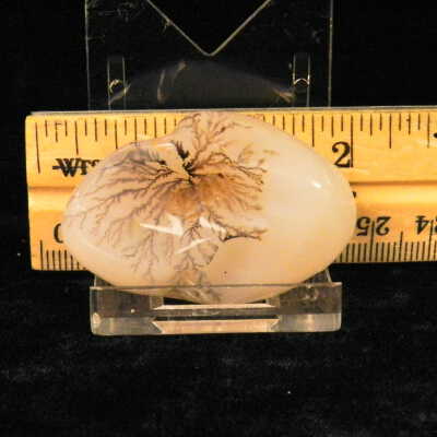 Dendritic Agate