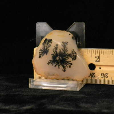 Dendritic Agate