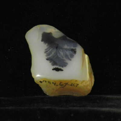 Quartz var. Agate
