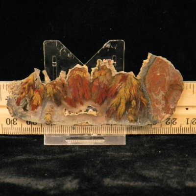 Plume Agate