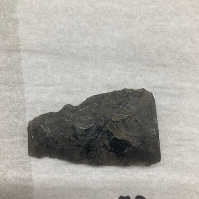 Obsidian Projectile Point