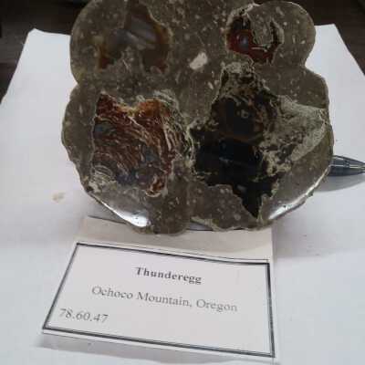 Thunderegg
