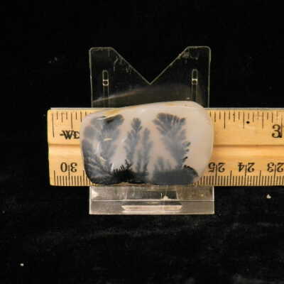Dendritic Agate
