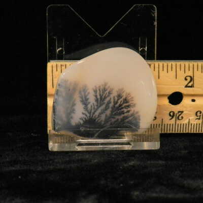 Dendritic Agate