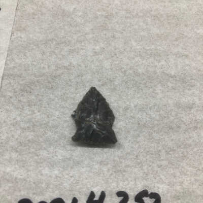 Projectile Point
