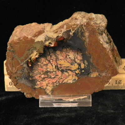 Plume Agate
