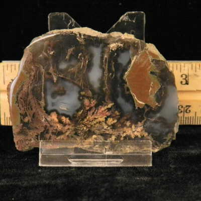 Plume Agate