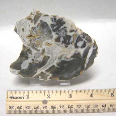 Limb Cast