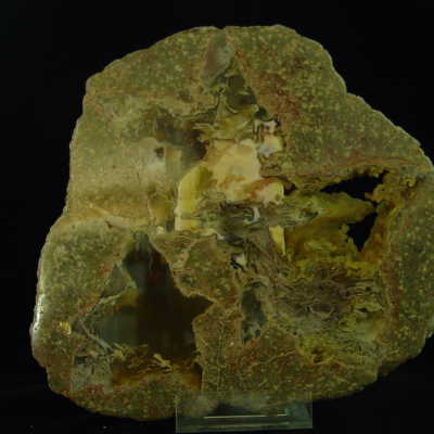 Thunderegg